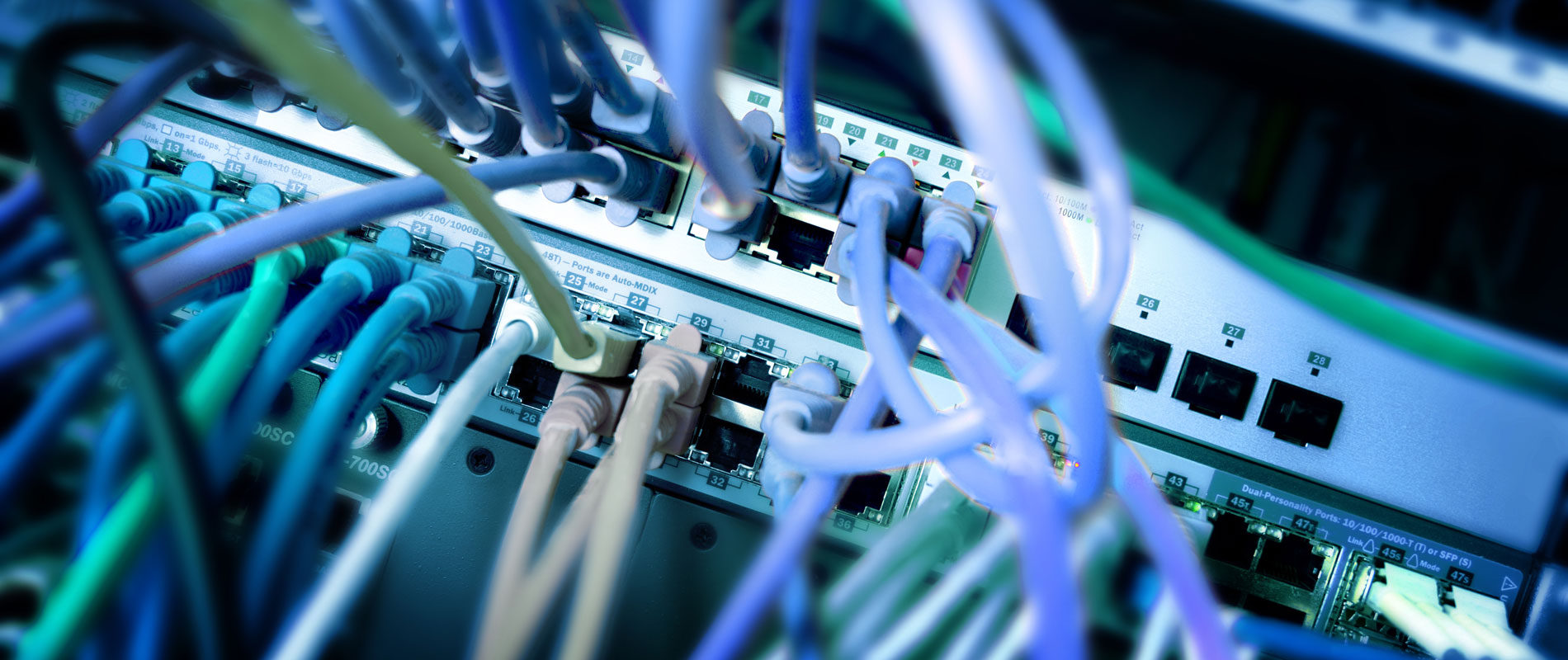 Mehrere Netzwerkkabel sind mit einem Server verbunden und bilden ein komplexes Kabelmanagement.